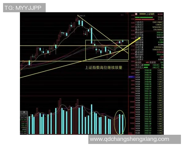 杭州与重庆排球队赛后技术分析与战术复盘探讨